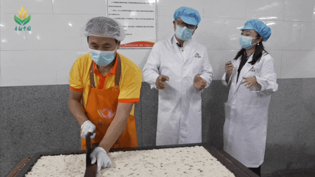 耘重庆”直播助农活动完满收官麻将胡了app448万!“青(图2) 耘重庆”直播助农活动完满收官麻将胡了app448万!“青(图2)